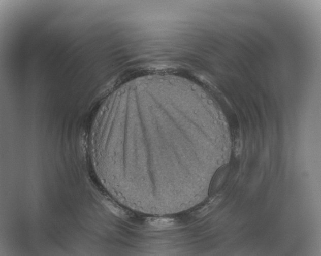 X0000066540476200604141910