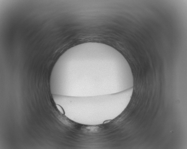 X0000066540478200604141910