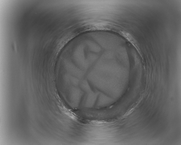 X0000066540481200604141909