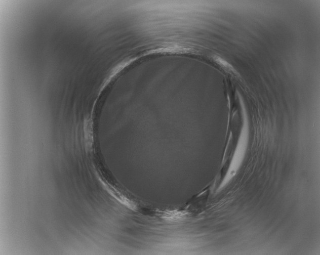 X0000066540484200604141909