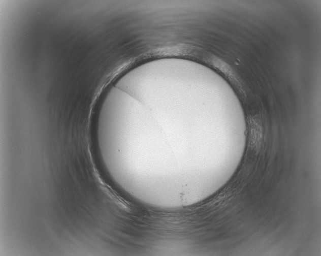 X0000066540486200604141909