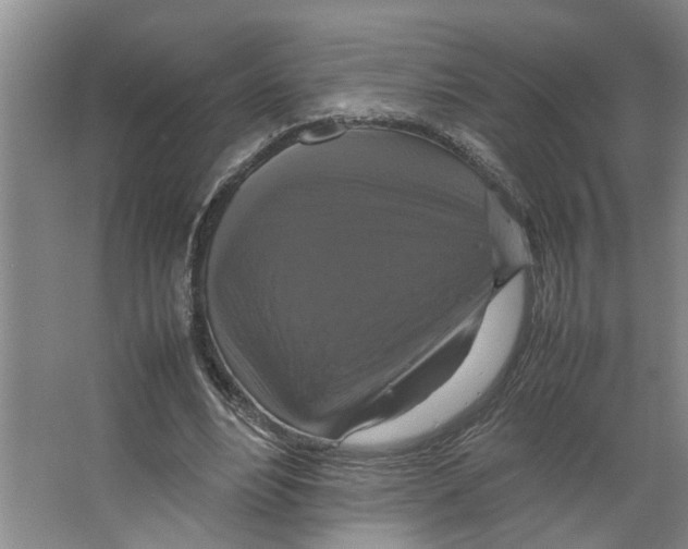 X0000066540488200604141909