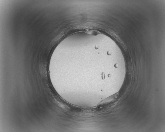 X0000066540489200604141909