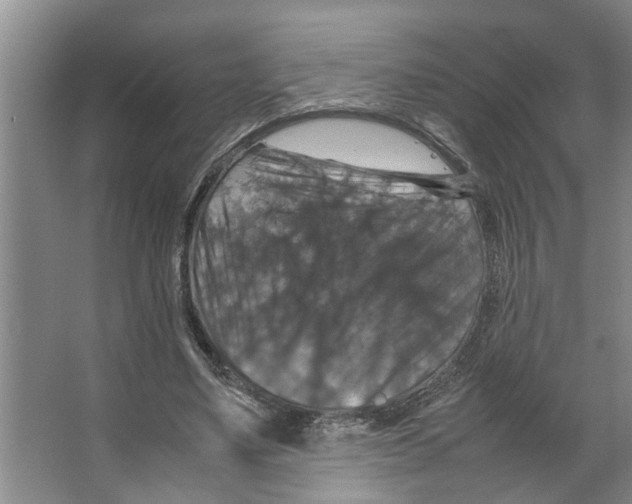 X0000066540491200604141909