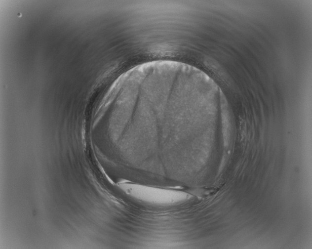 X0000066540494200604141909