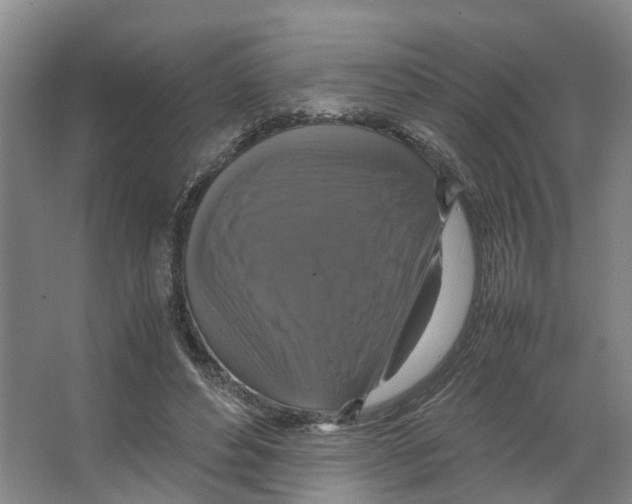 X0000066540496200604141909