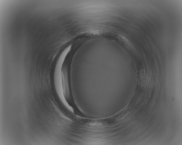 X0000066540500200604141909