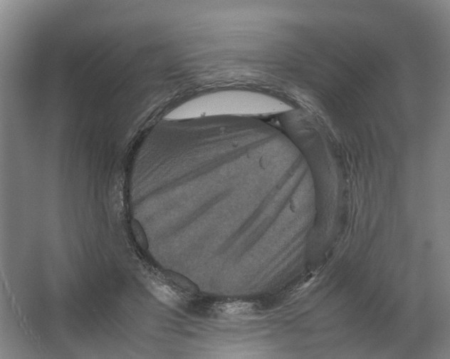 X0000066540501200604141909