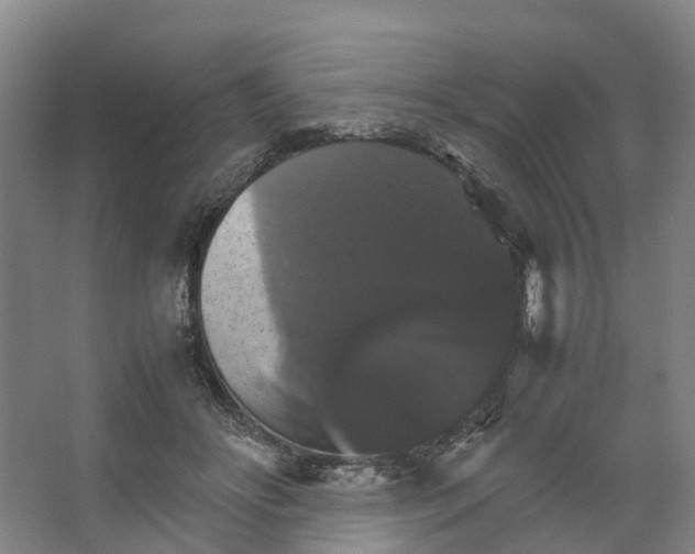 X0000066540502200604141909