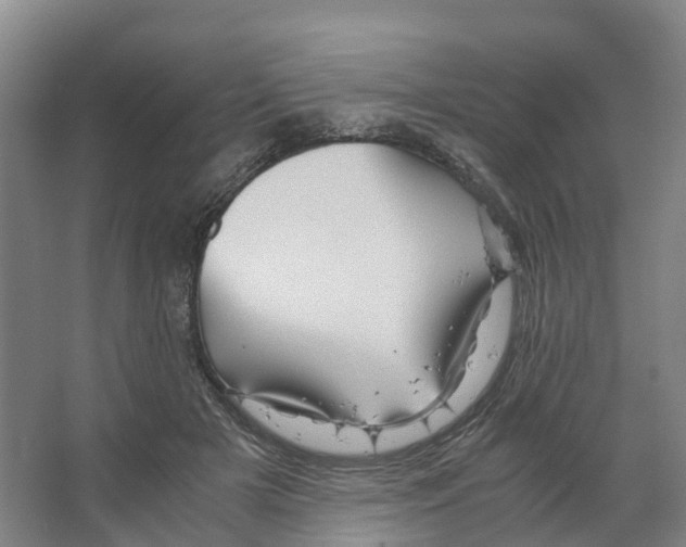 X0000066540505200604141909