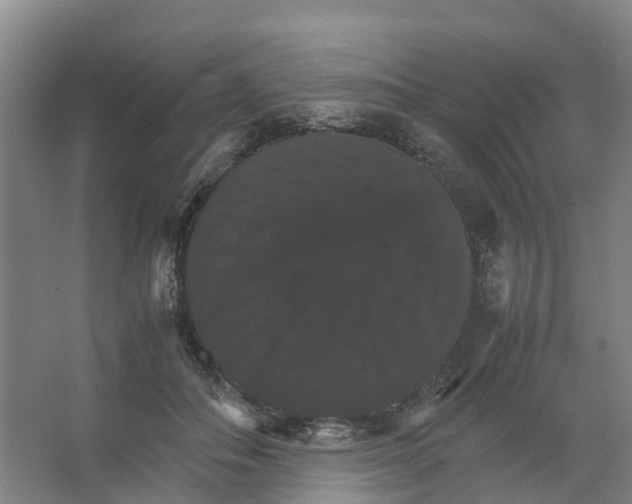 X0000066540506200604141909
