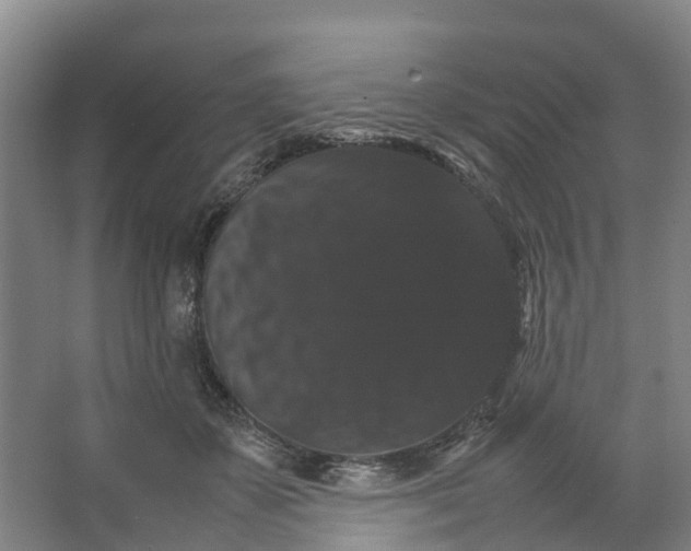 X0000066540507200604141909