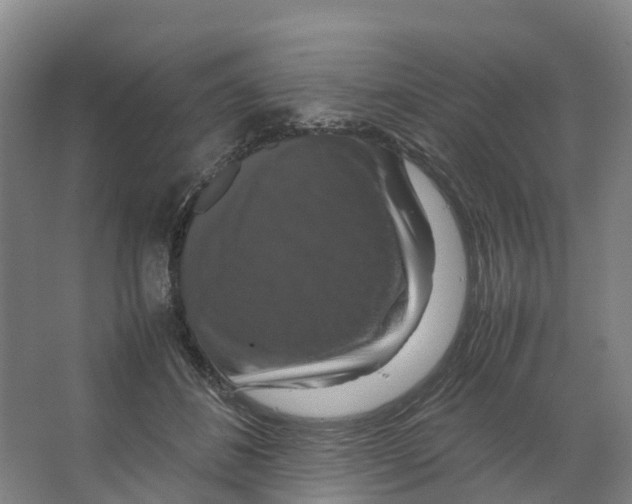 X0000066540508200604141909