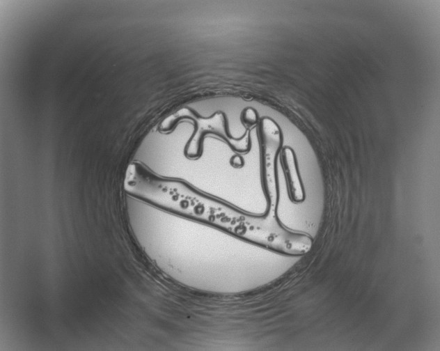 X0000066540513200604141909