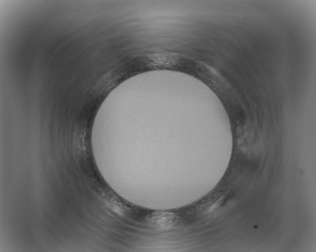 X0000066540514200604141909