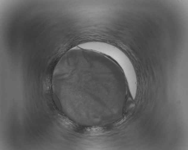 X0000066540517200604141909