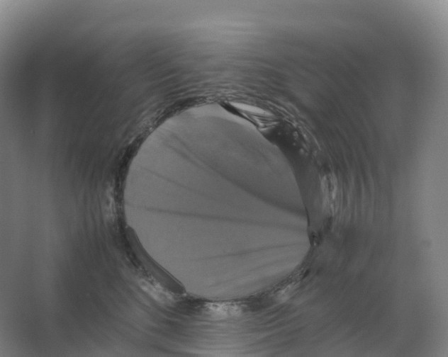 X0000066540520200604141909