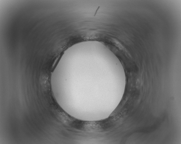 X0000066540521200604141909