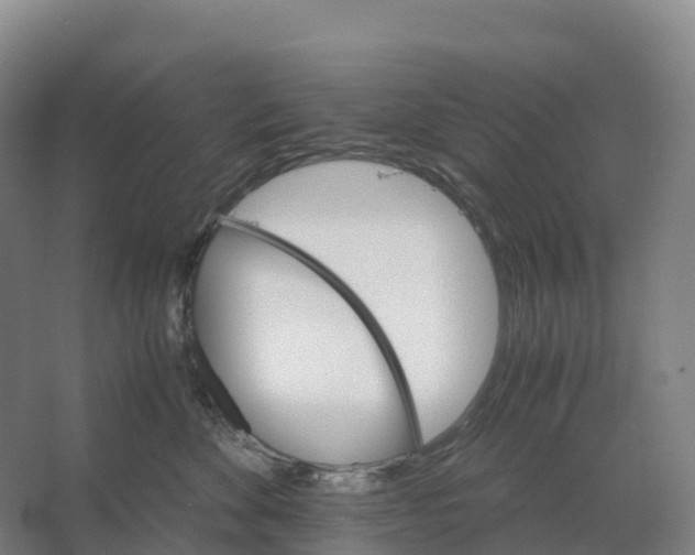 X0000066540524200604141909