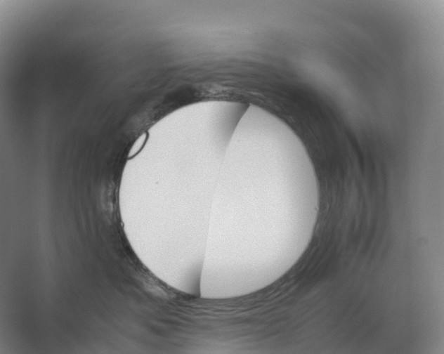 X0000066540525200604141909