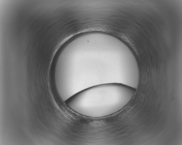 X0000066540536200604141908
