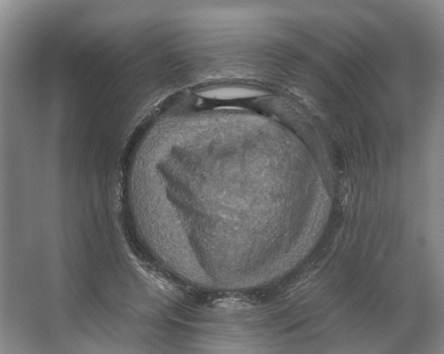 X0000066540544200604141908