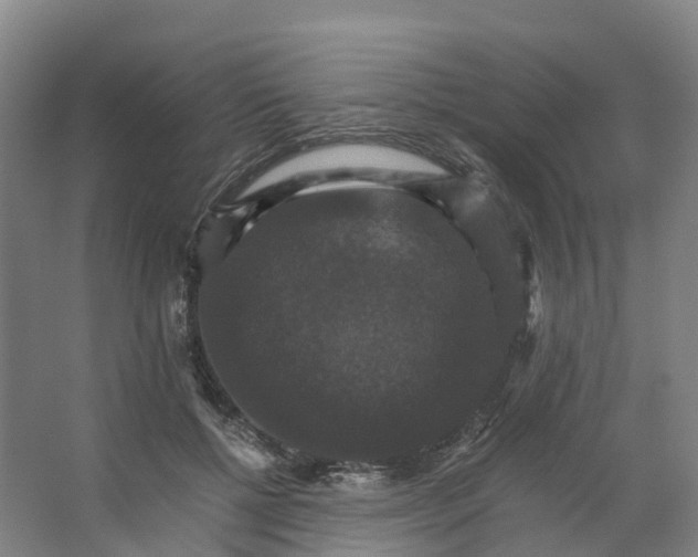 X0000066540552200604141908