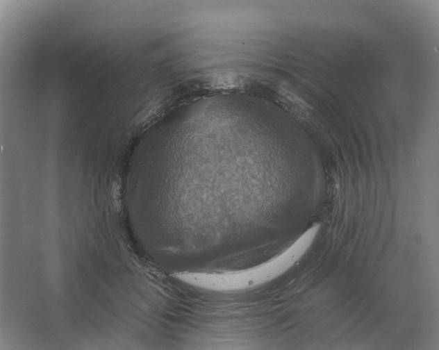 X0000066540556200604141908