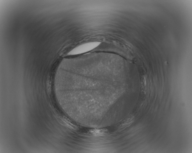 X0000066540558200604141908