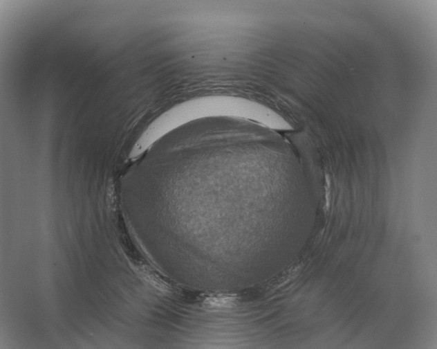 X0000066540560200604141908