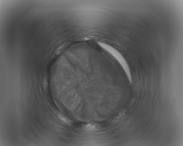 X0000066540566200604141908