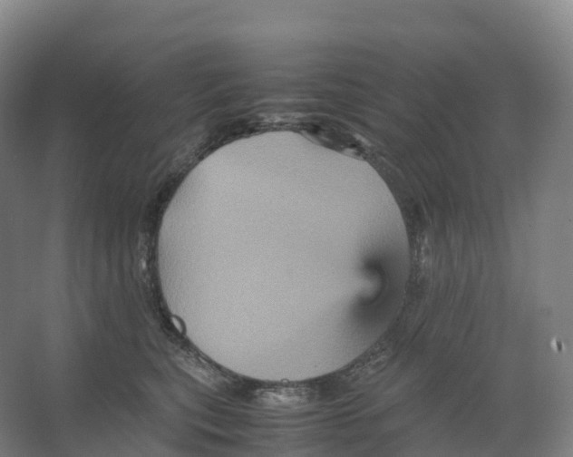 X0000066540567200604141908