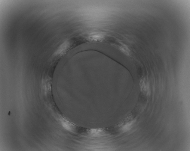 X0000066540570200604141908