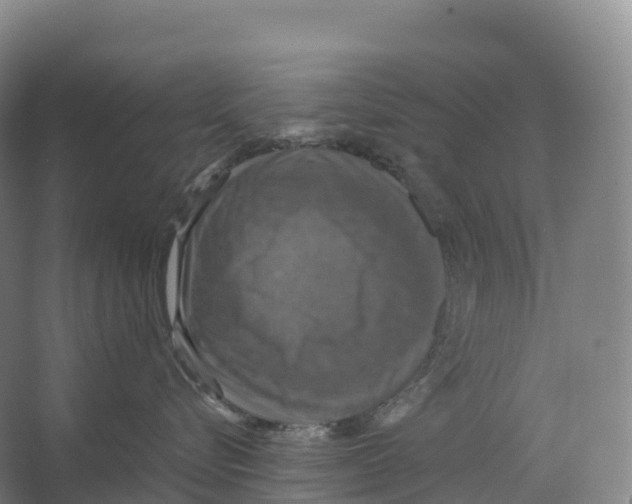 X0000066540576200604141908