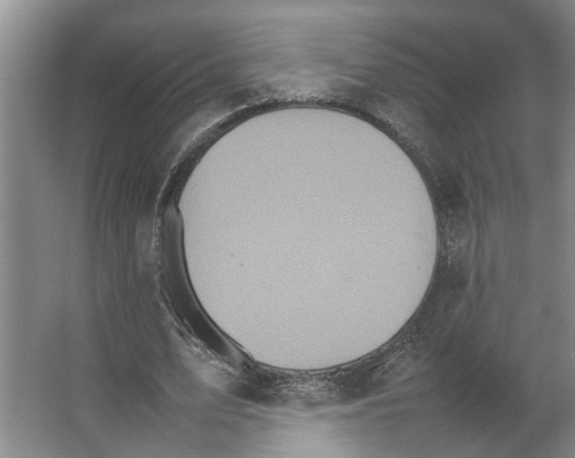 X0000066540583200604141908