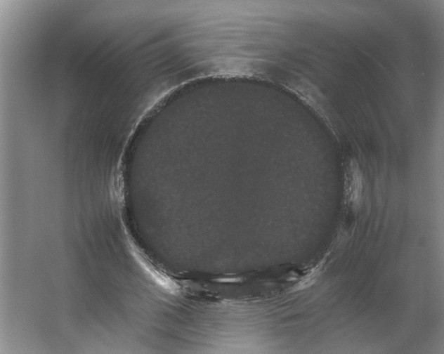 X0000066540584200604141908