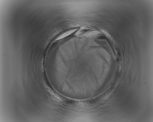 X0000066540585200604141908