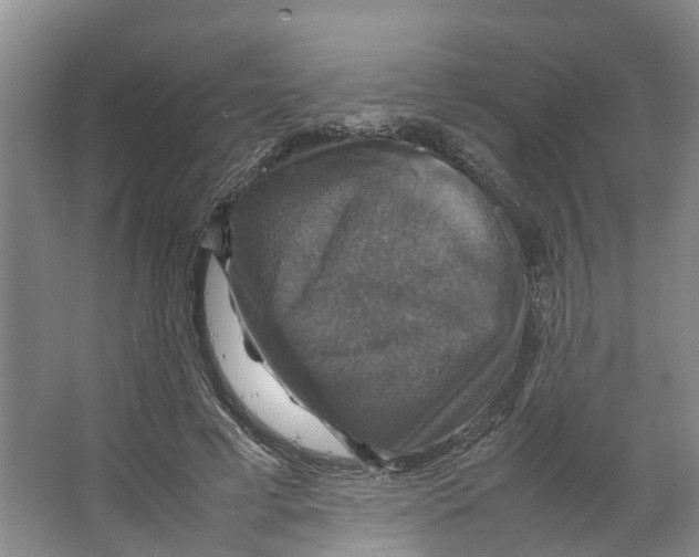 X0000066540593200604141907