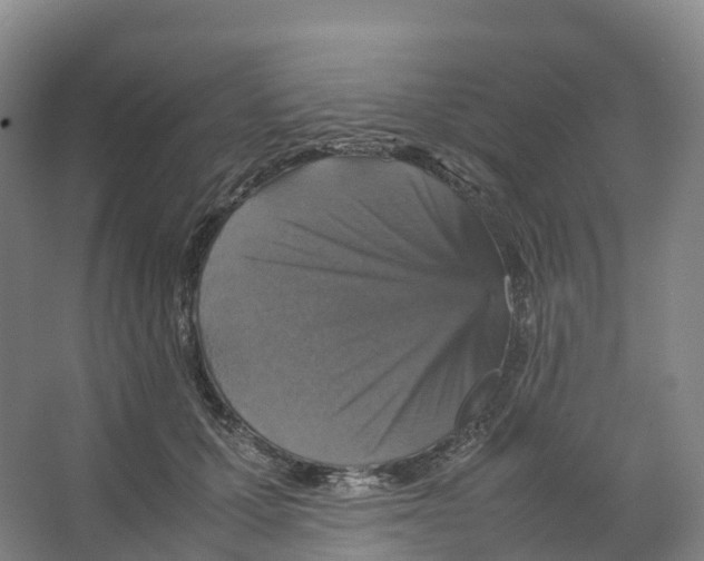 X0000066540607200604141907
