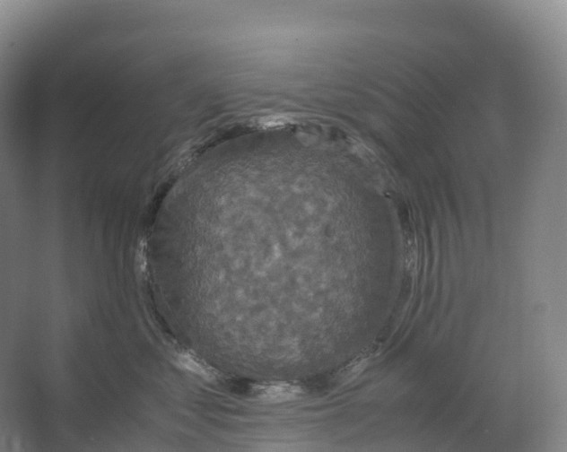 X0000066540621200604141907