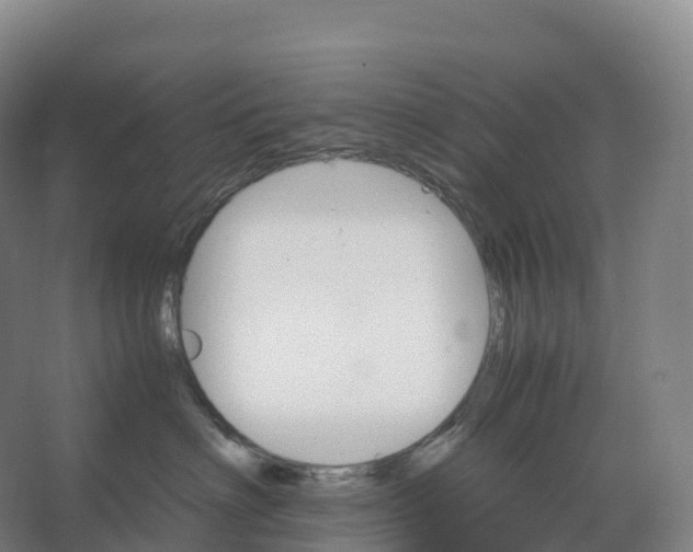 X0000066540622200604141907