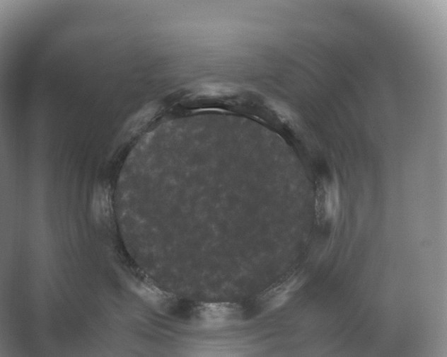 X0000066540623200604141907