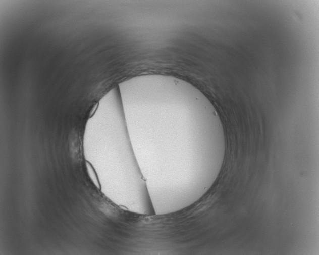 X0000066540624200604141907