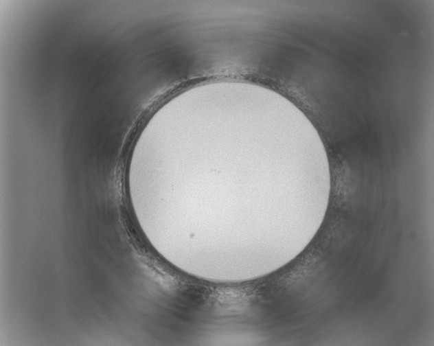 X0000066540632200604141906