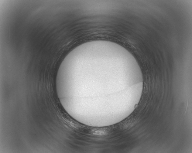 X0000066540649200604141906