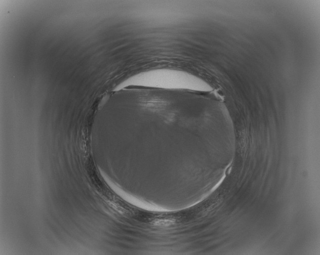 X0000066540653200604141907