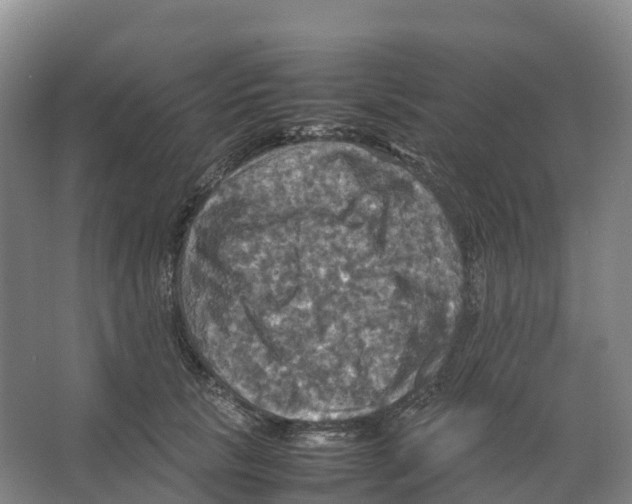 X0000066540657200604141907