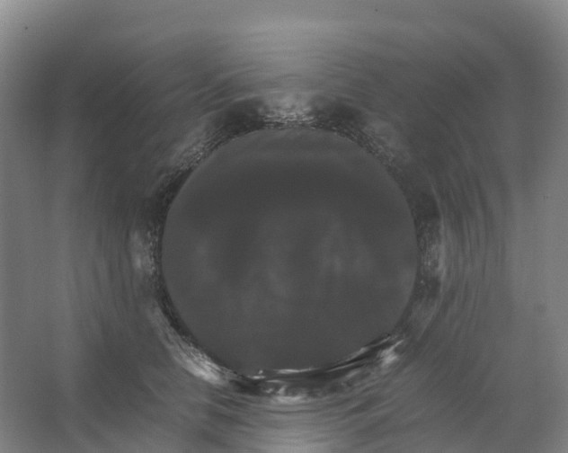 X0000066540658200604141907
