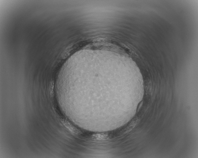 X0000066540660200604141907