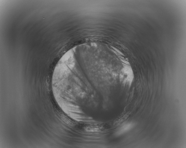 X0000066540661200604141907